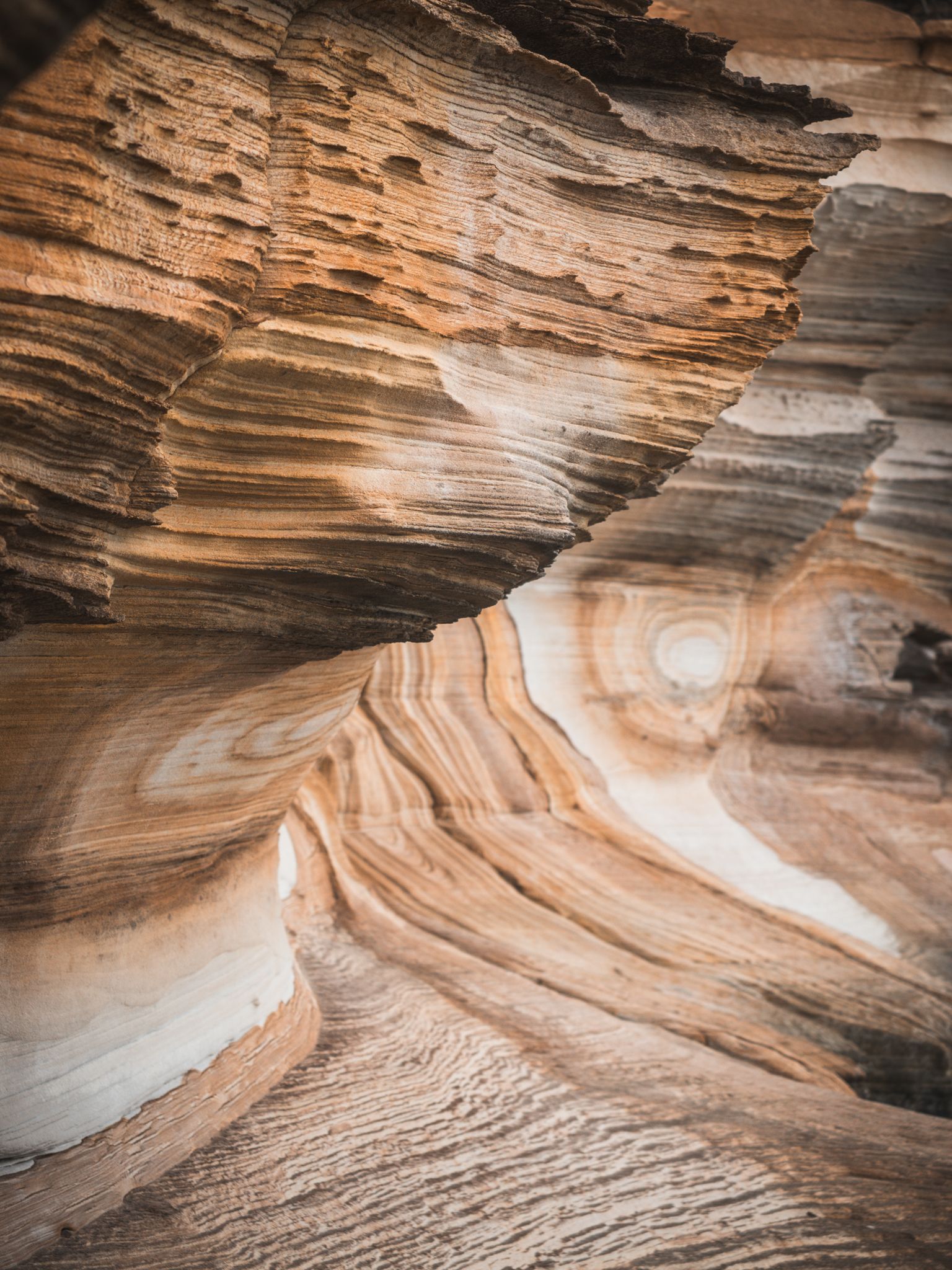 Swirling sandstone of the Painted Cliffs on Maria Island, Tasmania